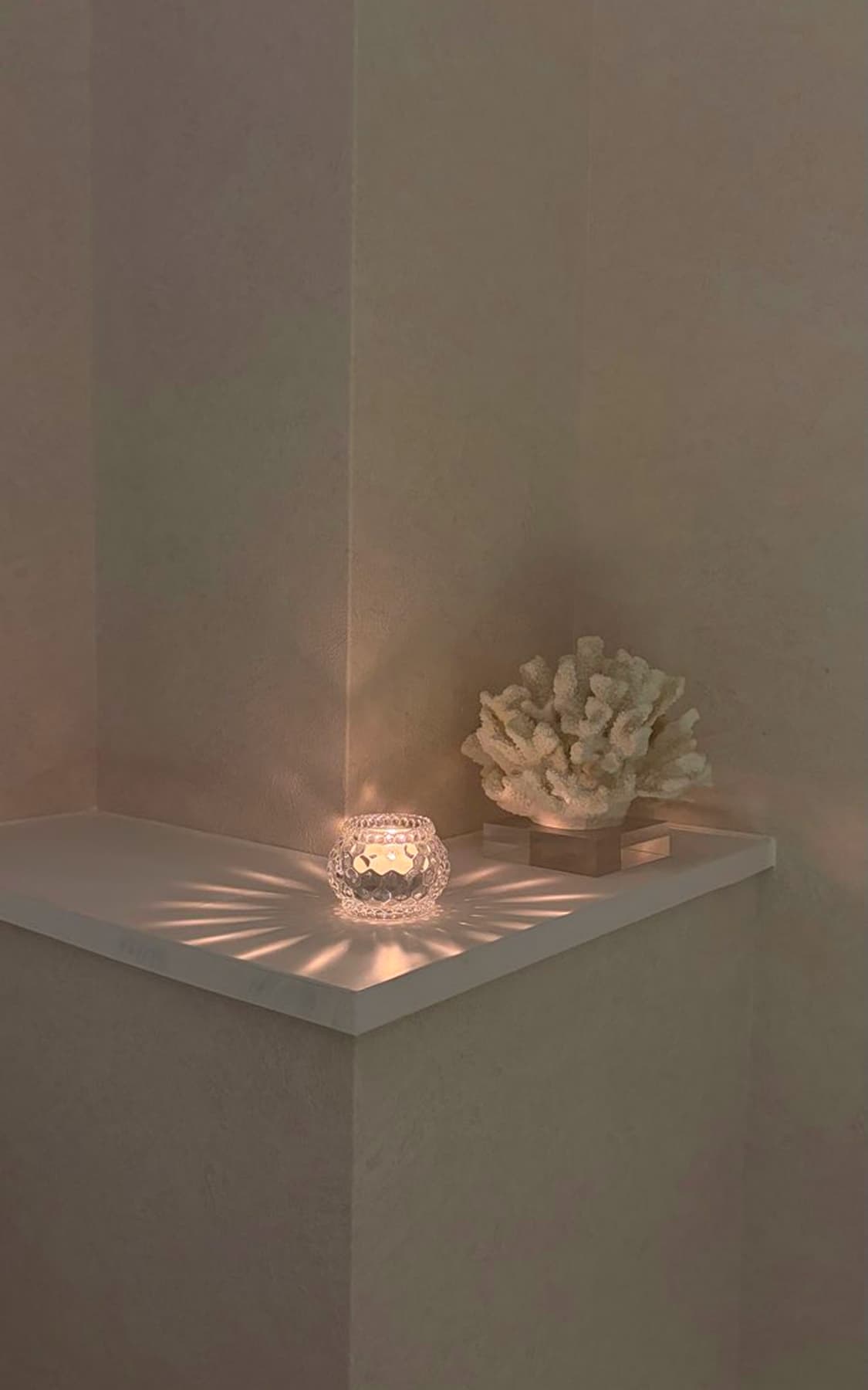 キャンドルとサンゴ礁